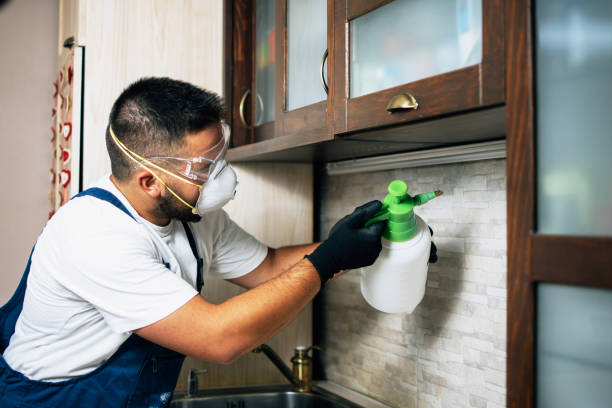 Best Bed Bug Extermination  in Saddle River, NJ