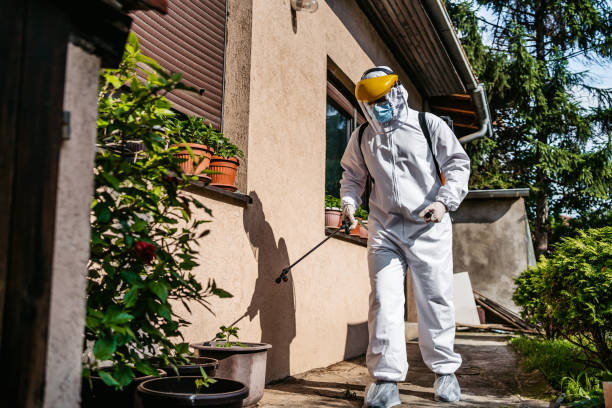 Best Affordable Pest Control Services  in Saddle River, NJ