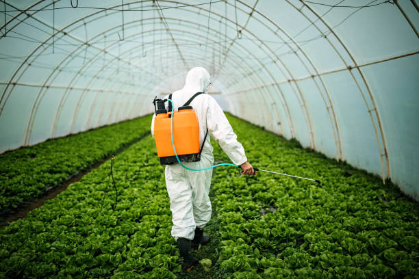 Best Pest Control Near Me in Saddle River, NJ