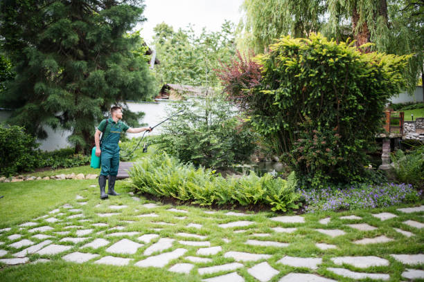 Reliable Saddle River, NJ Pest Control Solutions