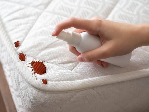 Best Pest Removal Services  in Saddle River, NJ