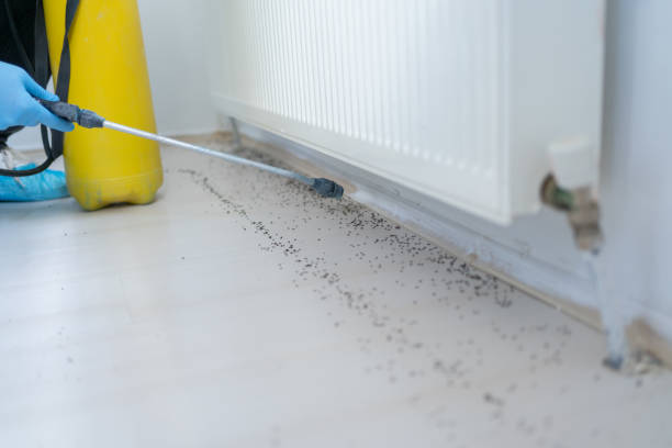 Best Wasp Removal Services  in Saddle River, NJ