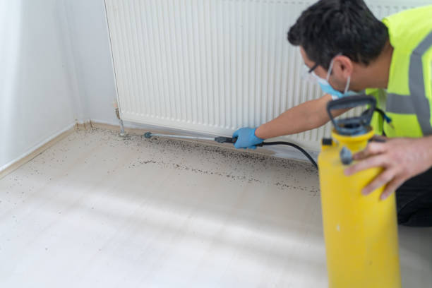 Pest Control for Restaurants in Saddle River, NJ
