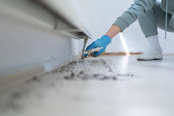 Best Rodent Control Near Me  in Saddle River, NJ