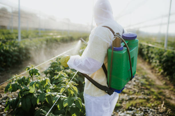 Best Residential Pest Control  in Saddle River, NJ